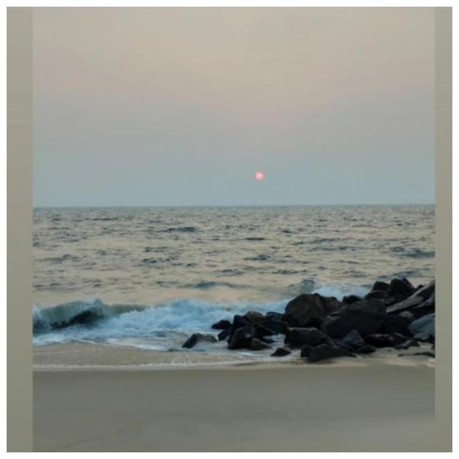 Marari sibiya beach villa Mararikulam Exteriör bild